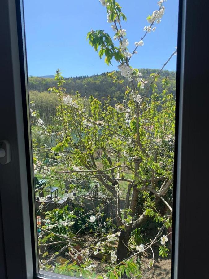 דירות Usúrbil El Naranjo, Reate Lss00277 מראה חיצוני תמונה